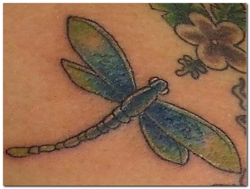dragon fly tattoo free flash