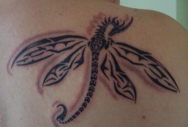 dragonfly tattoos tribal