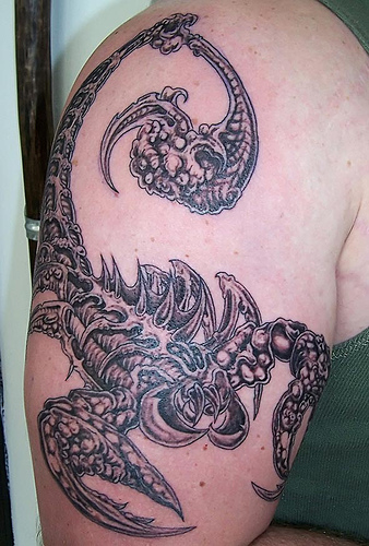 tattoo art scorpion