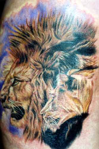 Lion Tattoos | Leo, Tribal, Head, Chinese, 